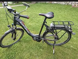 E-Bike Damen Bild 2