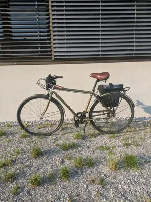 Tourenrad Marke Electra 7 Gang  Bild 9