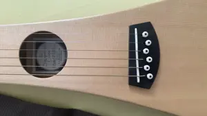 Backpacker Gitarre Bild 2