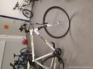 Nakamura 29 Zoll Herrenfahrrad