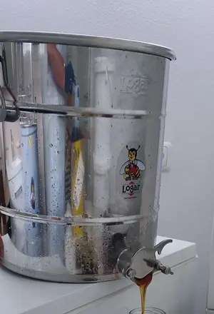 kleine Imkerei wird aufgelöst - Ideal für Anfänger - alles ziemlich neuwertig Bild 6