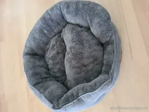 katzenbett