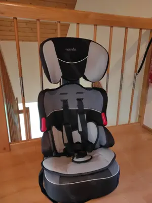 Kindersitz, Autositz