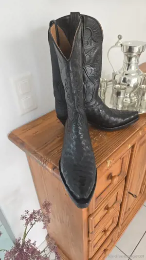 Western Stiefel Bild 2