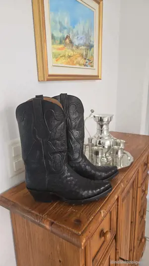 Western Stiefel