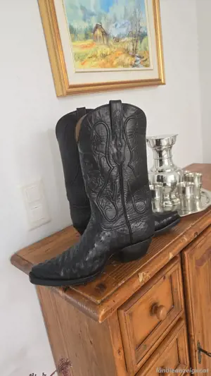 Western Stiefel Bild 3