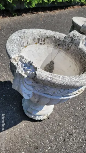 Blumentöpfe Bild 3