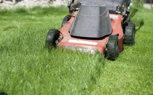 Helfer   Pensionist gesucht für Gartenarbeiten