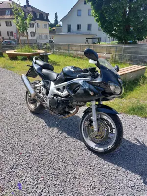 Suzuki sv650 s Knubbel 