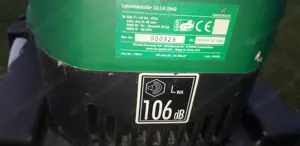 Asthäxler 