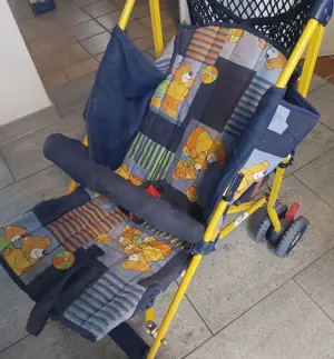 Buggy von Baby Mayerhofer Hohenems