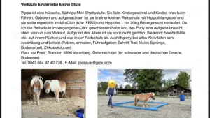 Kinderliebe Mini-Shetty Stute Bild 2