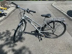 Damen Fahrrad Pegasus