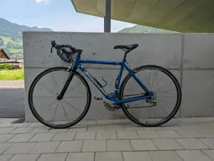 Gebrauchtes Rennrad Steppenwolf