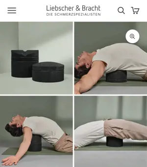 Liebscher und Bracht Rückenretter  Bild 2