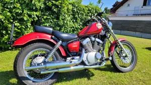 Yamaha XV250 Virago Bild 5
