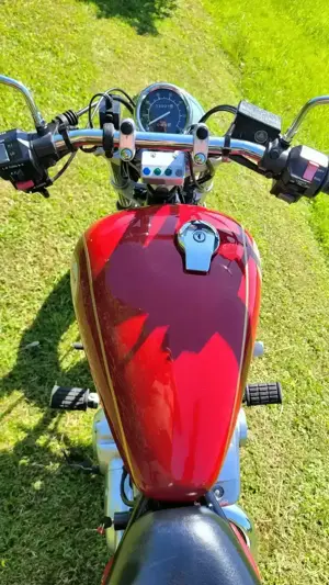 Yamaha XV250 Virago Bild 6