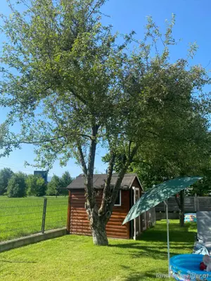 Holz zu verschenken Bild 3