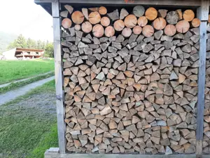 Brennholz Fichte trocken