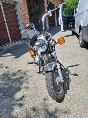 Honda Moped Bild 3