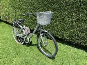 Saxonette Fahrrad mit Hilfsmotor Bild 4