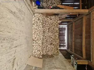 Schönes älteres Haus mit tollen Möglichkeiten. Top Lage Bild 8