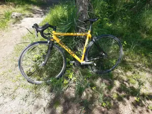 Rennrad Simplon Bild 6