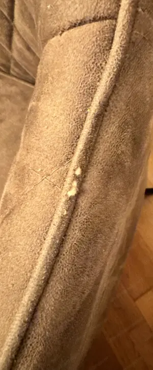 Essstühle zu verkaufen