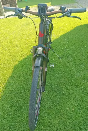 Bergamont Trekking E-Bike Bild 2