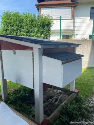 Hühnerstall isoliert zu verkaufen Bild 3