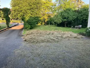 Trockenes, frisches Heu zu verschenken Bild 2