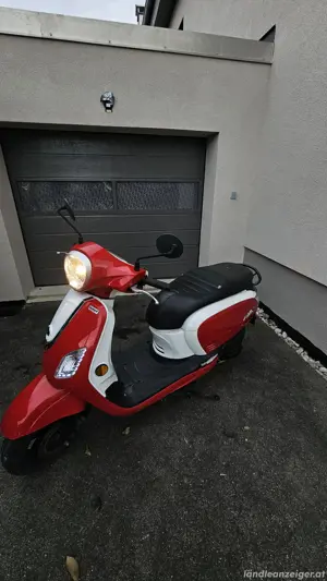Roller zu verkaufen Bild 4