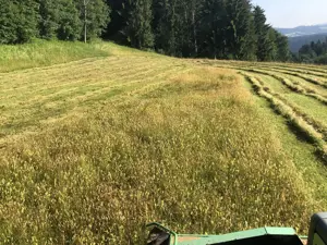 Heu ,Pferdeheu,Rundballen 