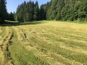 Heu ,Pferdeheu,Rundballen  Bild 2