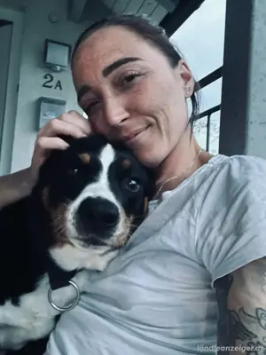 Suche: Kleine Wohnung mit Balkon oder Garten   hundefreundlich   Homeoffice geeignet