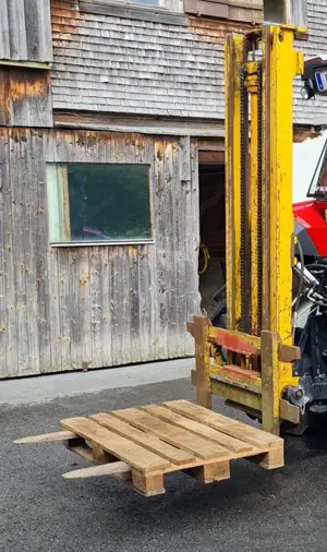 Haubmast zu verkaufen Bild 2