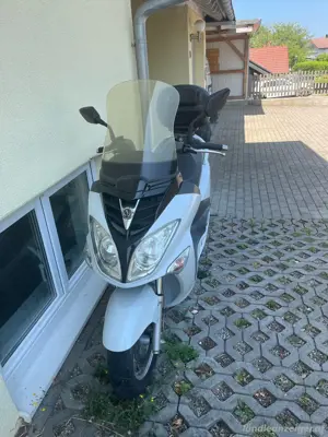 Roller 125 ccm Marke Sym Bild 3