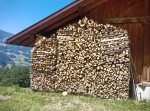 Brennholz Linde