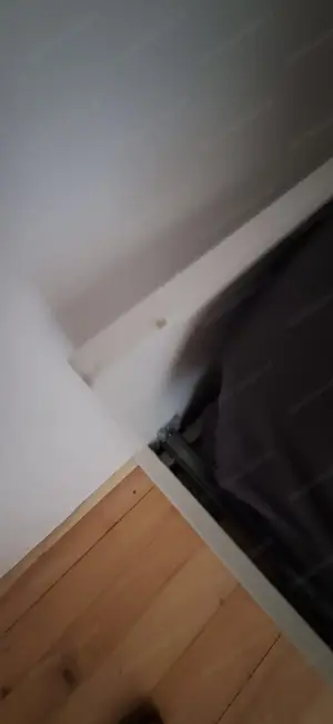 Gästebett mit Stauraum Bild 3