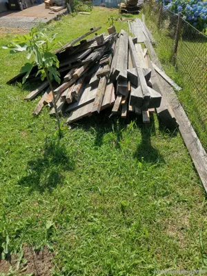 Brennholz zu Verschenken  Bild 3