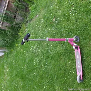 Scooter Micro