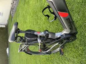 E-Bike Malaguti Damen MTB Bild 3