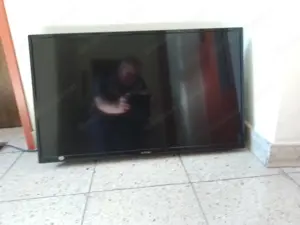 DYON 32 Zoll FarbTV
