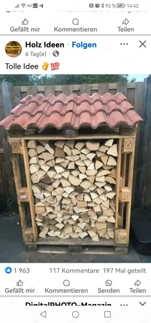 Dachziegel aus Ton 