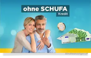 Wir bieten Fonds und Anlagen von 10.000 bis 350.000.000 zu sehr einfachen Konditionen an