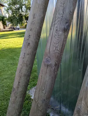 3 Stk. Rundholz imprägniert Bild 2