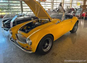 Gt 5000 Cabrio V8
