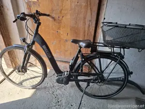E Bike Damen Bild 2