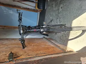 E Bike Damen Bild 3