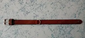 Halsband Hund Hunter NEU 48 cm Bild 2